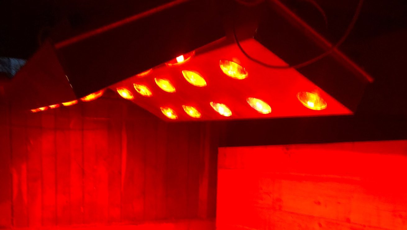 Herzlich willkommen auf dem Sonnenhof Kollmeyer